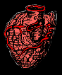 a beating heart